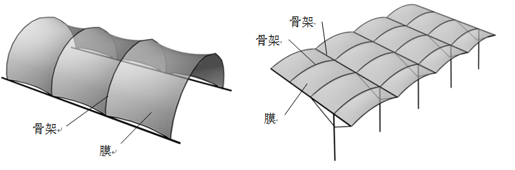 膜结构有哪些类型？