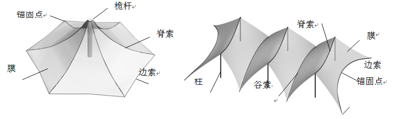 膜结构有哪些类型？